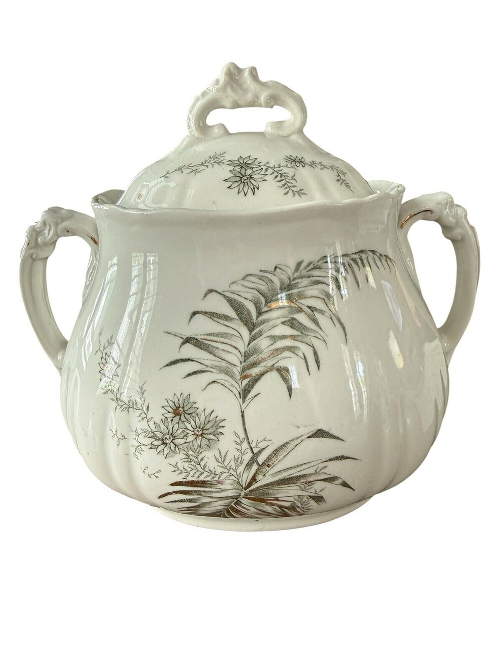 Porcelaine De Terra Sugar Bowl England PALM